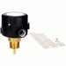 McDonnell & Miller FS254 General Purpose Switch Paddle, 1 in/6 in For Pipe Size, Brass, 1 in NPT - KVM Tools Inc.KV2RUL4