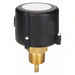 McDonnell & Miller FS254 General Purpose Switch Paddle, 1 in/6 in For Pipe Size, Brass, 1 in NPT - KVM Tools Inc.KV2RUL4