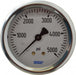 Wika 9767274 Pressure Gauge: 2 - 1/2" Dial, 0 to 5,000 psi, 1/4" Thread, NPT, Center Back Mount - KVM Tools Inc.KV56453871